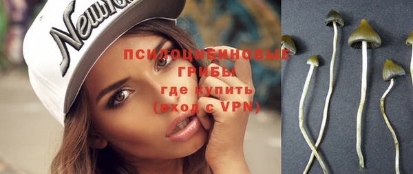 mdpv Володарск