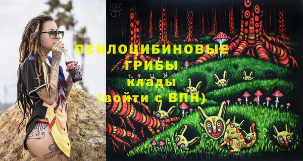 хмурый Волосово